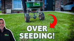 Seeding a small lawn for Best results *HOW TO*