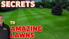How to make your lawn GREEN and KILL CLOVER & RED THREAD |  August lawn care tips