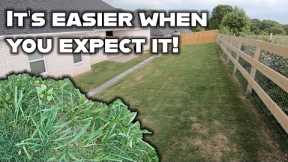 My new sod will NOT see a weed killer, and I'm still gonna win the weed war. Budget lawn care tips.