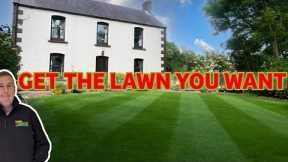 End of SUMMER lawncare | Beginner lawn care tips