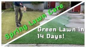 Spring Lawn Care | Green Lawn in just 14 Days!