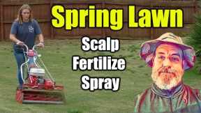 Spring Lawn Care - Quick Green Lawn