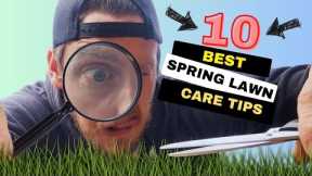 TOP 10 DIY Spring Lawn Care Tips! | DON'T Make THESE Mistakes