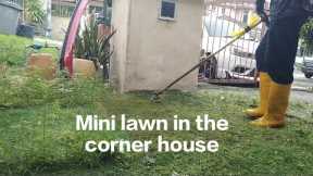 Mini lawn in the corner house ( @PGlawncare )
