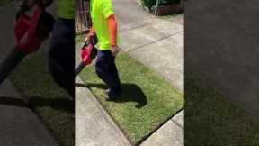 Mastering Lawn Care: Essential Tips for Using a Lawn Mower!