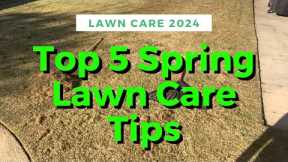 Spring Lawn Care Tips For Bermuda Grass