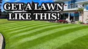 First steps to FIX YOUR LAWN