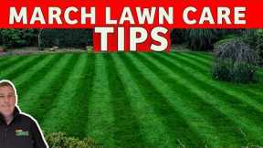 A cheap easy way to make your lawn green | diy lawn care for beginners
