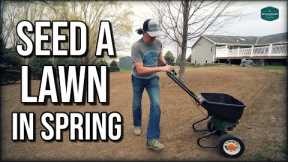 How To Seed A Lawn In Spring // Step by Step Complete Renovation Guide