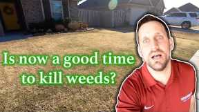 When To Kill Weeds in the Lawn // How To See Better Results With Weed Killer // DIY Weed Free Lawns