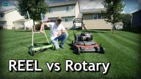 Reel vs Rotary Lawn Mowers // Pros and Cons, Cut Quality, How To Mow Low