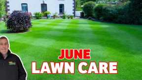 Lawn care tips for June | My TOP 5 TIPS for the PERFECT lawn