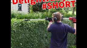 Triming a hedge  *satisfying* Privet hedge #short