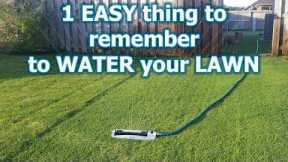 4 Simple Tips to Water Your Lawn the Right Way // Watering grass isn't that hard so stop stressing!