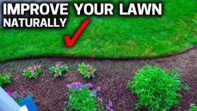 4 EASY Secrets To Keep Your LAWN GREEN & Healthy NATURALLY!