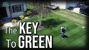 The KEY To CONSISTENT GREEN