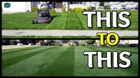How I TRANSFORMED My Lawn // Tall Cut Grass to Short Cut Grass