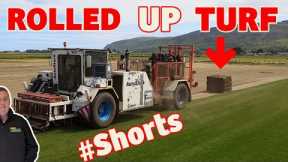 HOW are grass rolls made | AMAZING MACHINES  #shorts