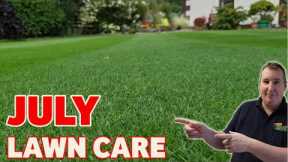 My Top 3 TIPS for an AMAZING lawn this summer |  Lawn care tips for July