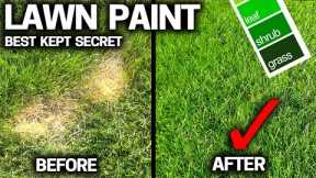 LAWN PAINT is a PRO SECRET YOU CAN USE - WHY?