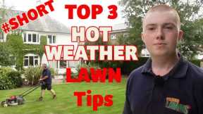 Top 3 Hot weather lawn tips #shorts