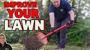 Fixing a poor quality lawn | Topdressing with soil. Step by Step