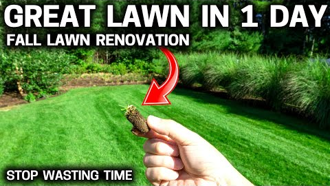 EASY FALL LAWN Renovation - Overseeding Kicked up a Notch!