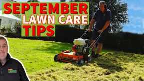 Late summer lawn renovation | back to basics