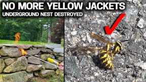 Get Rid of Yellow Jackets in Walls & Ground - Cheap & Easy