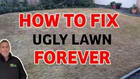 We killed off an ugly lawn and started again | Everything you need to get it right