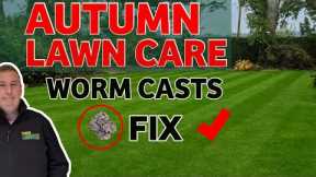 HOW TO GET THE MOST OUT OF YOUR LAWN THIS AUTUMN //Autumn lawn fertilizer // Cutting heights