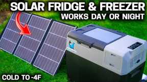 SOLAR Fridge Freezer STAYS COLD even in the DARK - Lion Cooler