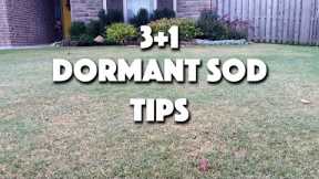 4 Simple, Must-Do Lawn Care Tips for New Sod That's Laid Dormant in the Fall or Winter