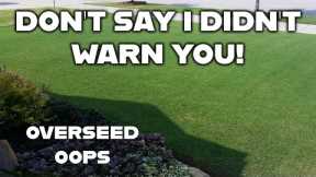 You'll regret this single biggest lawn care mistake! // You don't have to keep up with the Joneses.