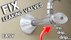 Few Know this EASY TRICK to STOP Leaking Valves INSTANTLY
