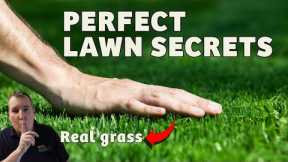 How to get the perfect lawn in 4 easy to follow steps