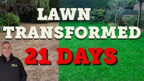 WORST lawn yet gets TRANSFORMED in a lawn reset