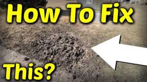 Fix Your Lawn After Construction or Utility Work // Cable In The Driveway Story