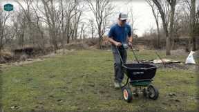 Fertilizer Strategy for New Lawns + Overseeding Shade Grass Test Plot