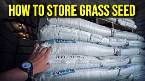 Grass Seed: How To Store It Properly? How Long Before It Goes Bad?
