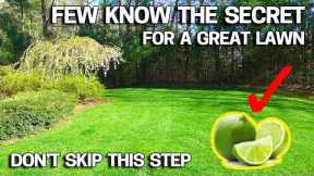 BEST LAWN TIP for 2022 - LIME for Success!