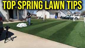 Top 6 Spring Lawn Care Tips 2022
