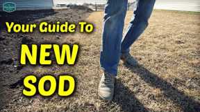 Caring For NEW SOD?? Don't Miss These Tips and Tricks