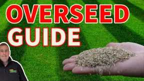 Beginners guide to overseeding a lawn and everything you need to get it RIGHT