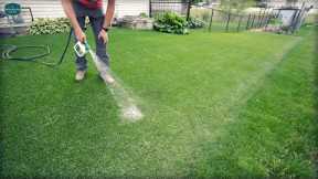 How To Fix DRY SPOTS In The Lawn