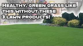 You don't NEED these 3 products to have healthy, green grass! Basic lawn care tips on a budget.