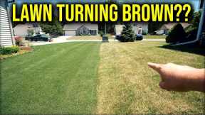 My Lawn Is Turning Yellow or Brown?? NOW WHAT??