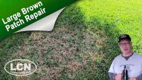 How To Fix Brown Patch & Large Patch In St Augustine, Zoysia and Tall Fescue with The Lawn Care Nut