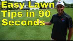 How to GET GREEN GRASS - EASY Lawn Care TIPS For BEGINNERS