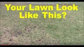 My Lawn Thinned Out Over Winter - Cool Season Lawn Tips